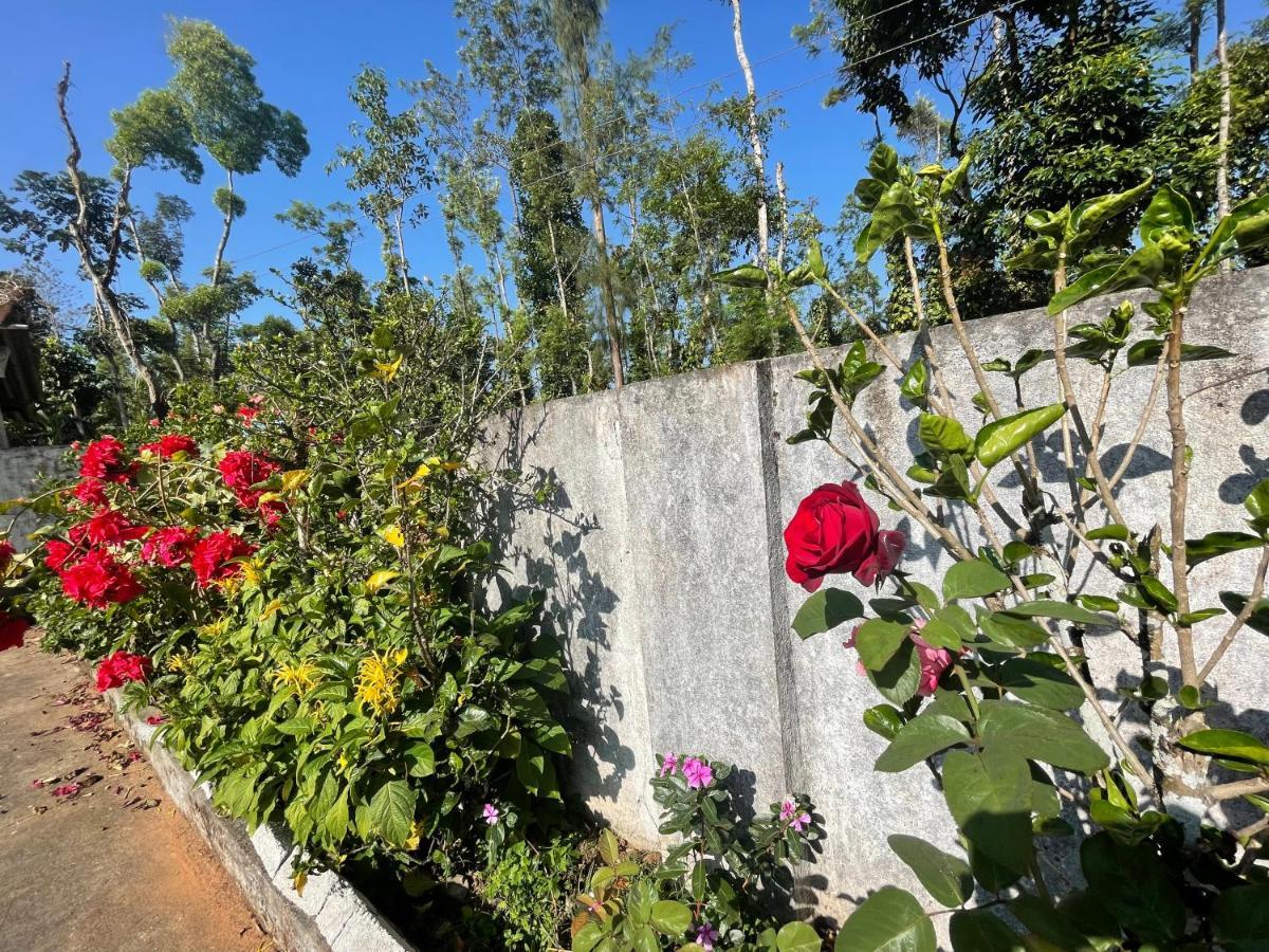 New Organic Home Stay Mudigere 외부 사진